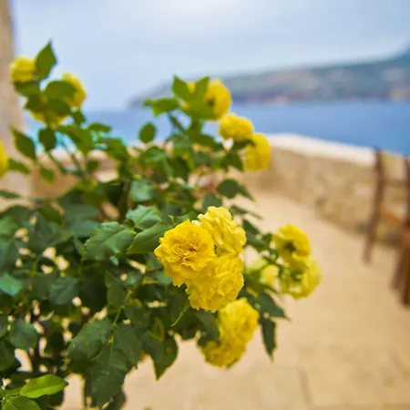 Hotel Pirgos Mavromichali