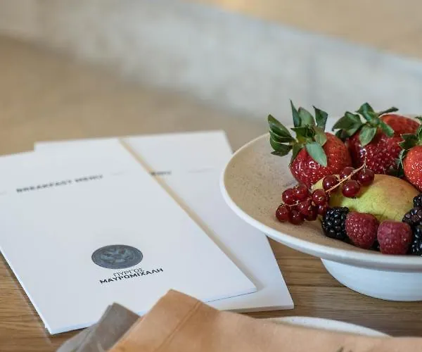 皮尔戈斯玛维罗米恰利酒店 酒店 4*